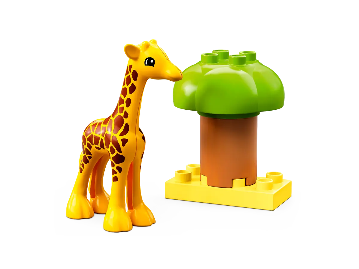 Wild Animals of Africa