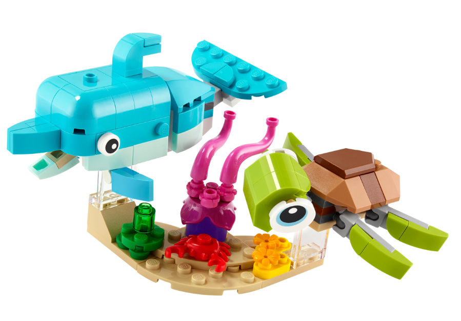Dolphin and Turtle